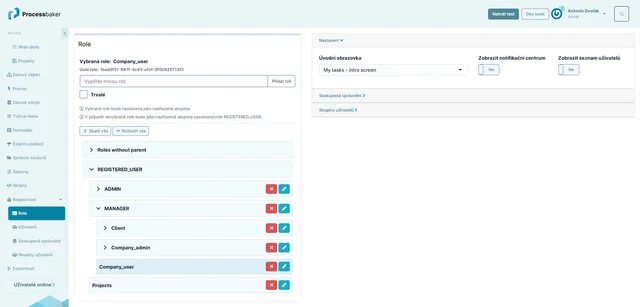 function users and roles